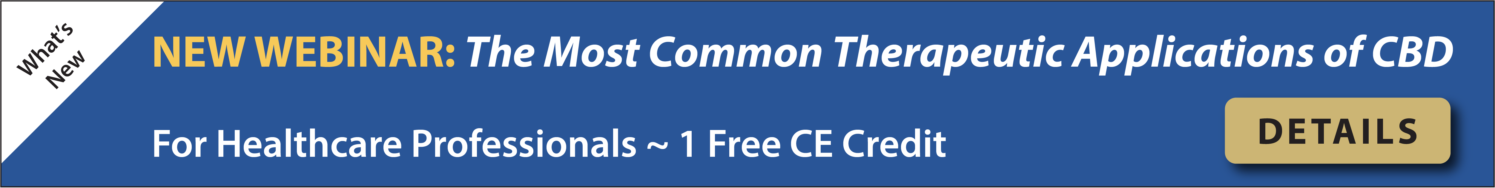 ECS Therapy Webinar